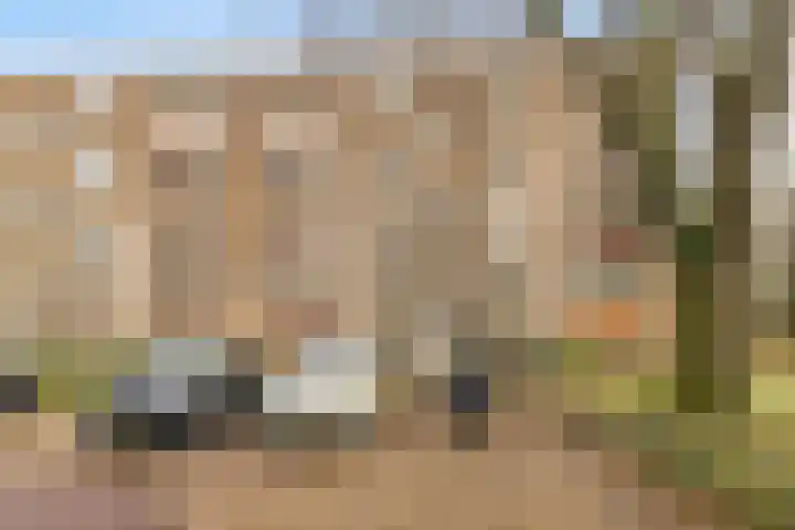 Rubenslaan 81 2 Utrecht thumbnail 11