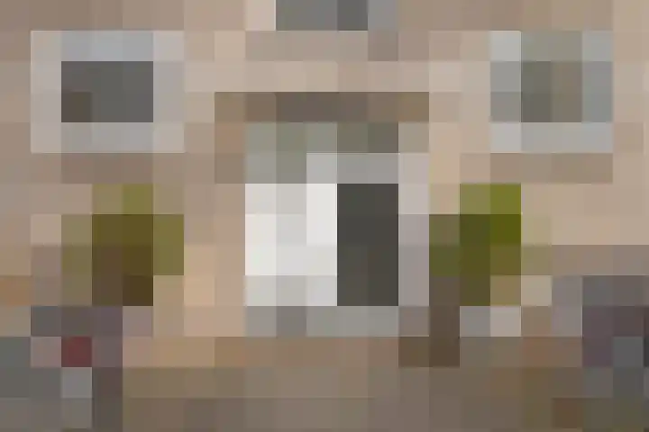 Rubenslaan 81 2 Utrecht thumbnail 12