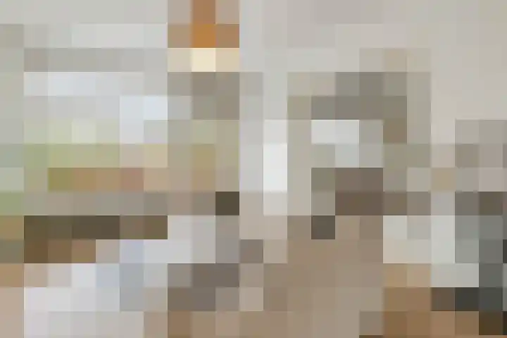 Rubenslaan 81 2 Utrecht thumbnail 20