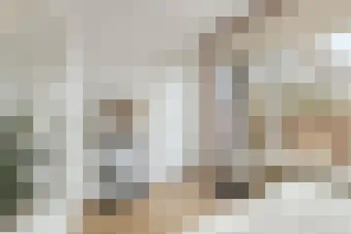 Rubenslaan 81 2 Utrecht thumbnail 28