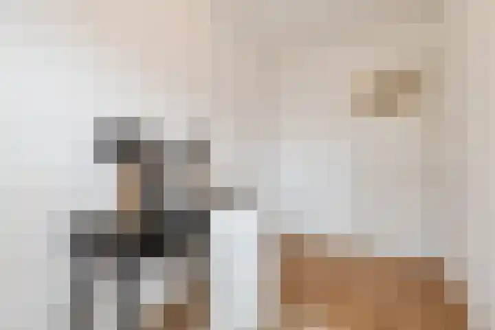 Rubenslaan 81 2 Utrecht thumbnail 31