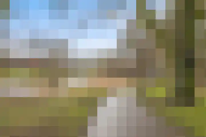 Rubenslaan 81 2 Utrecht thumbnail 32
