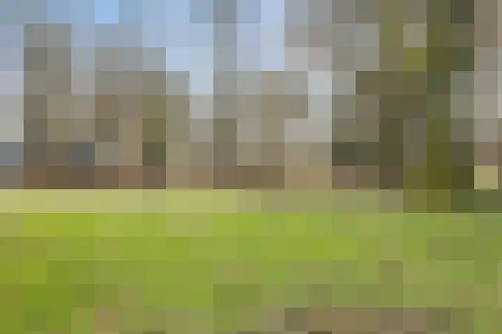 Rubenslaan 81 2 Utrecht thumbnail 34