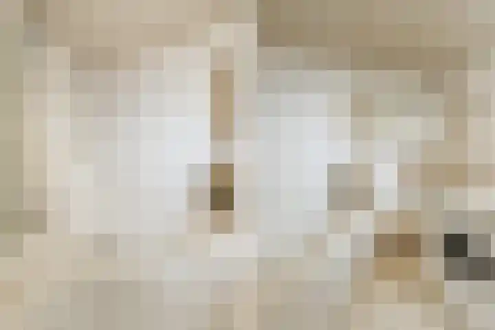 Rubenslaan 81 2 Utrecht thumbnail 8