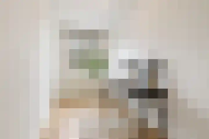 Rubenslaan 81 2 Utrecht thumbnail 9