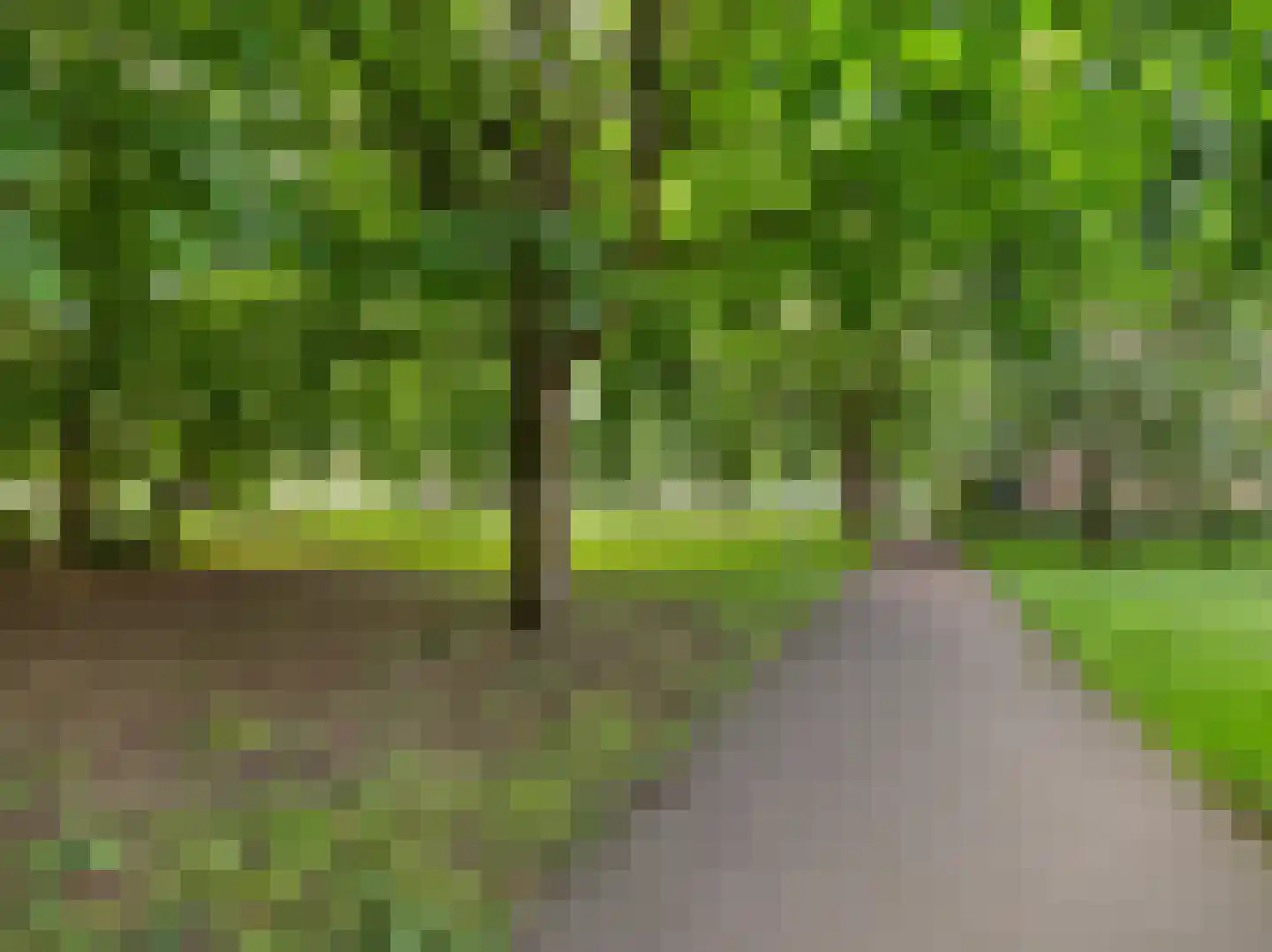 Rubenslaan 85 3 Utrecht thumbnail 30
