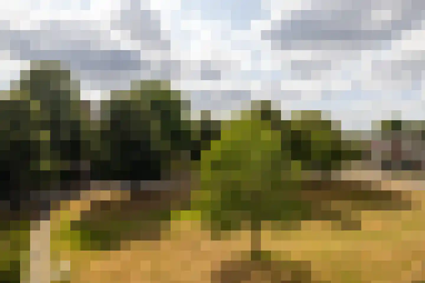 Rubenslaan 90 Soest thumbnail 33