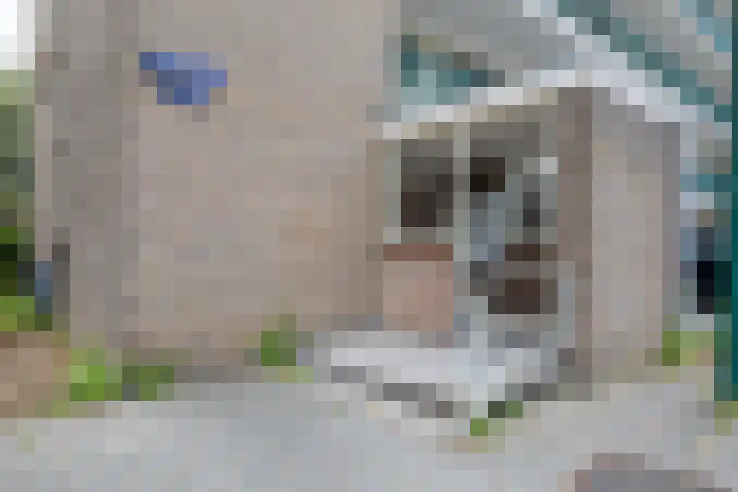 Rubenslaan 90 Soest thumbnail 8
