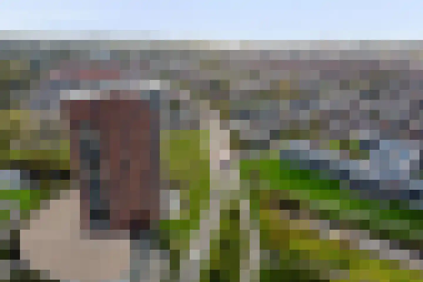 Rubenslaan 98 Vlissingen thumbnail 37