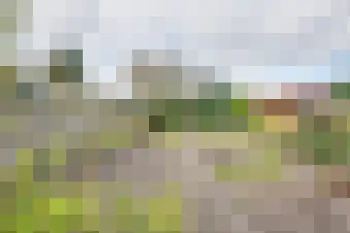 Rubenspark 44 Rijen thumbnail 33