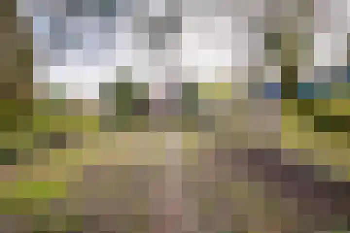 Rubenspark 44 Rijen thumbnail 34