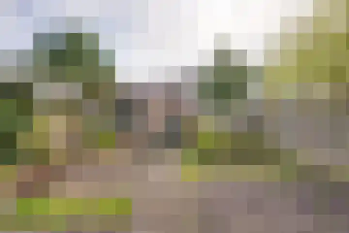 Rubenspark 44 Rijen thumbnail 35