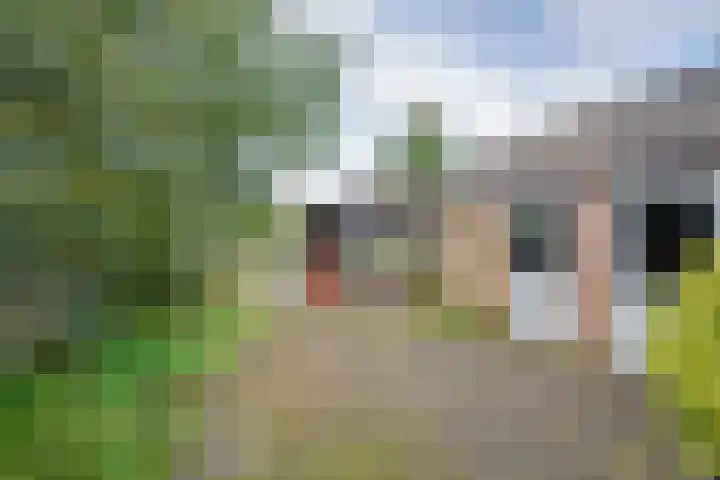 Rubenspark 44 Rijen thumbnail 36