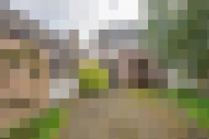 Rubenspark 44 Rijen thumbnail 38
