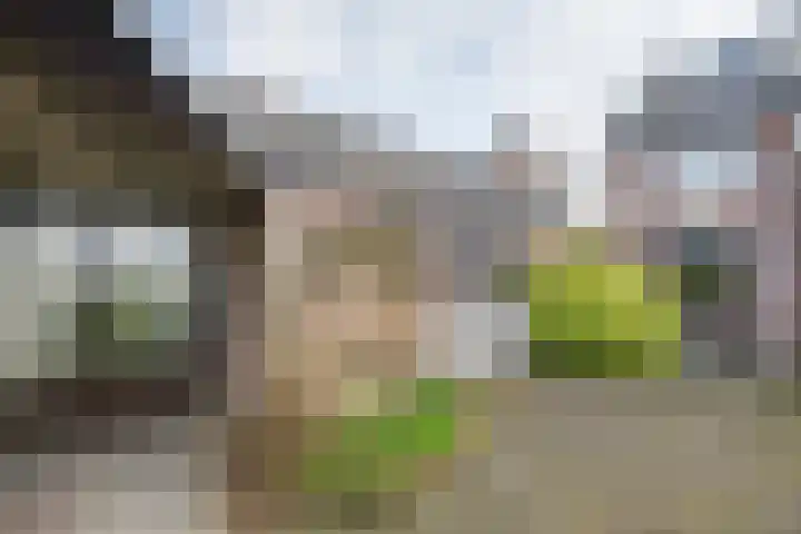 Rubenspark 44 Rijen thumbnail 41