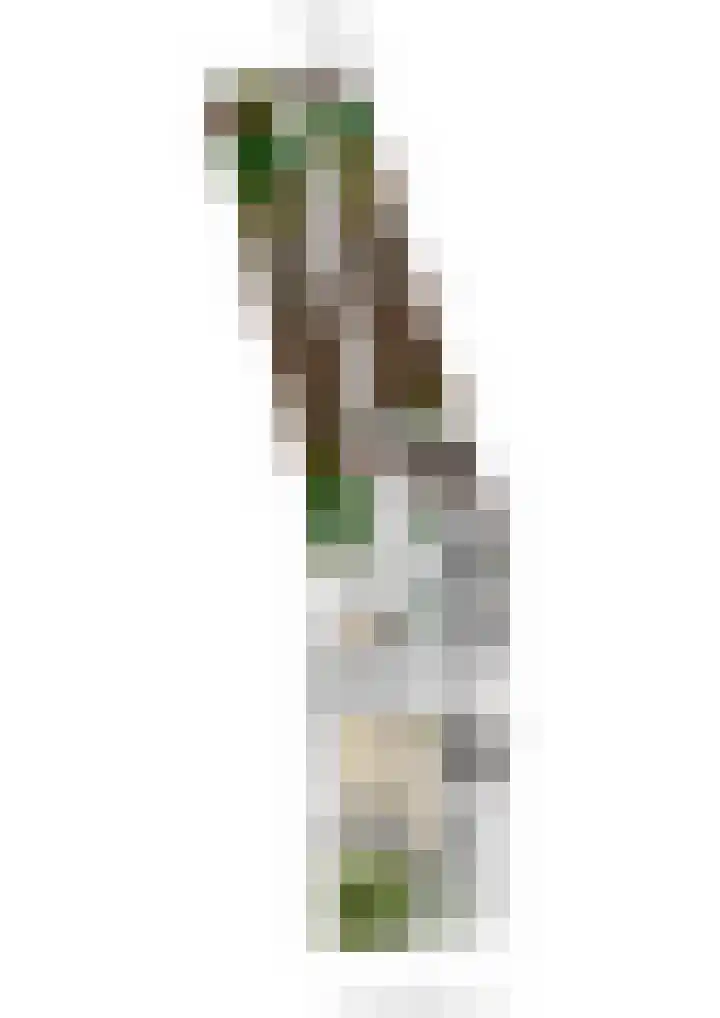 Rubenspark 44 Rijen thumbnail 46