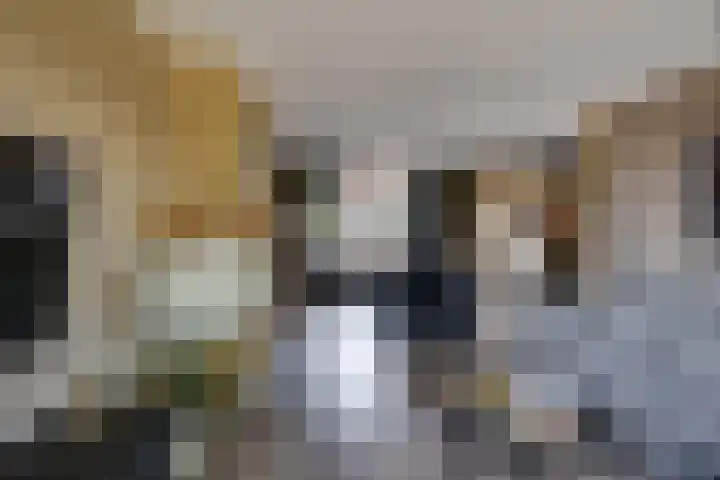 Rubenspark 7 Rijen thumbnail 12