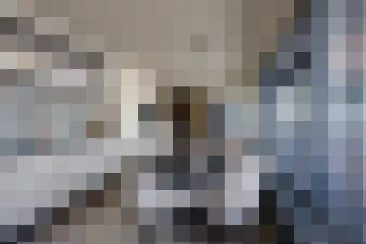 Rubenspark 7 Rijen thumbnail 14