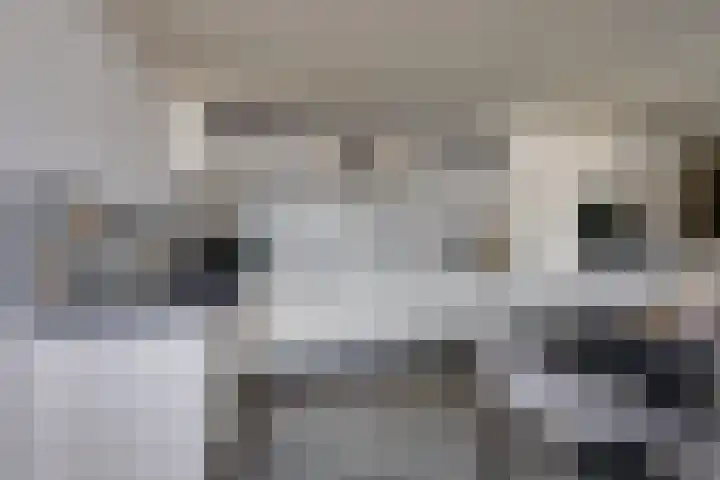 Rubenspark 7 Rijen thumbnail 16