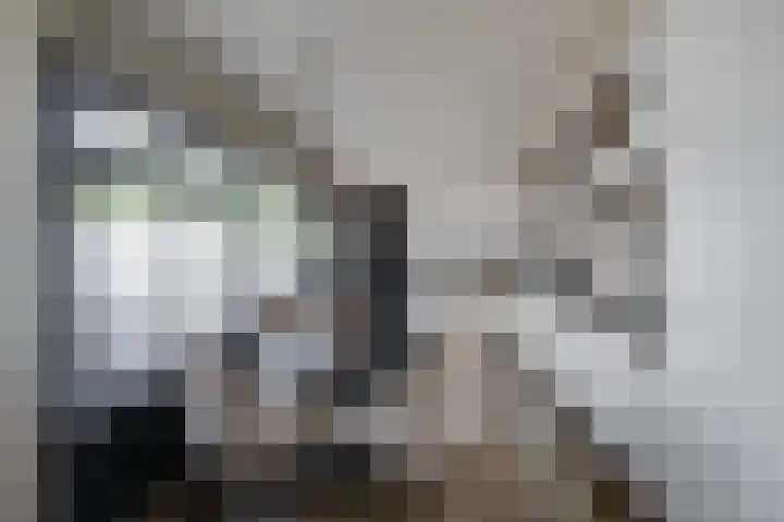 Rubenspark 7 Rijen thumbnail 18