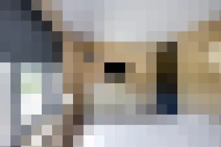 Rubenspark 7 Rijen thumbnail 25
