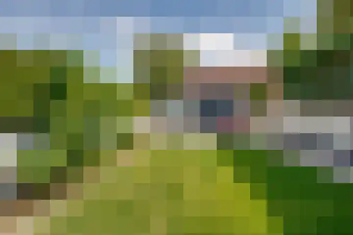 Rubenspark 7 Rijen thumbnail 40