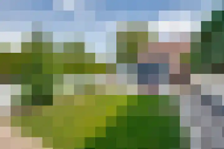 Rubenspark 7 Rijen thumbnail 41