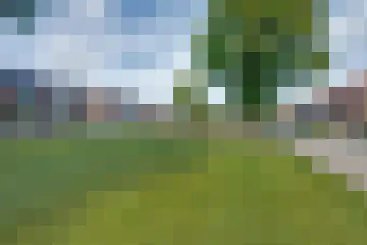Rubenspark 7 Rijen thumbnail 5
