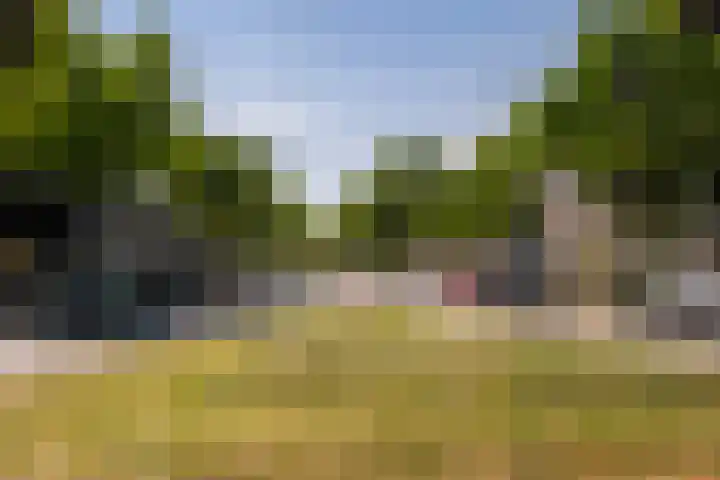 Rubensplein 11 A 1 Schiedam thumbnail 24
