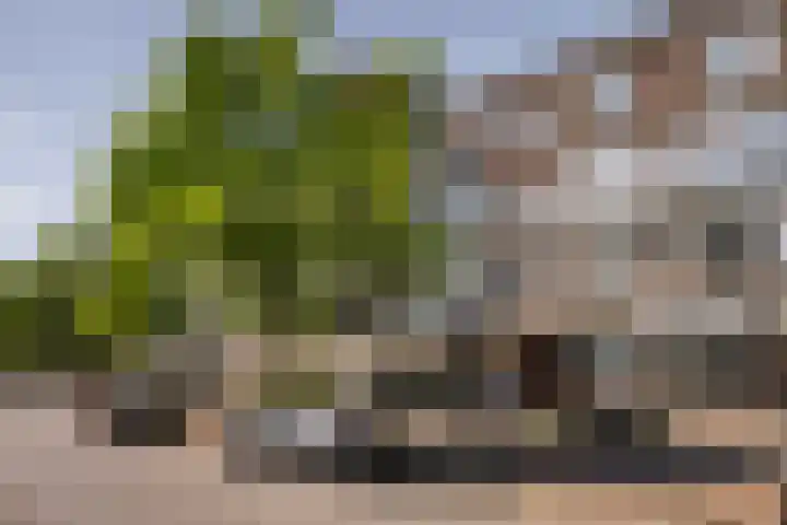 Rubensplein 11 A 1 Schiedam thumbnail 26