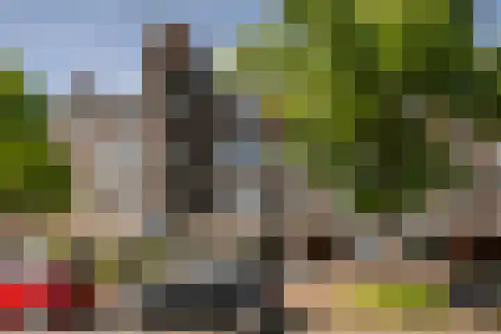 Rubensplein 11 A 1 Schiedam thumbnail 29