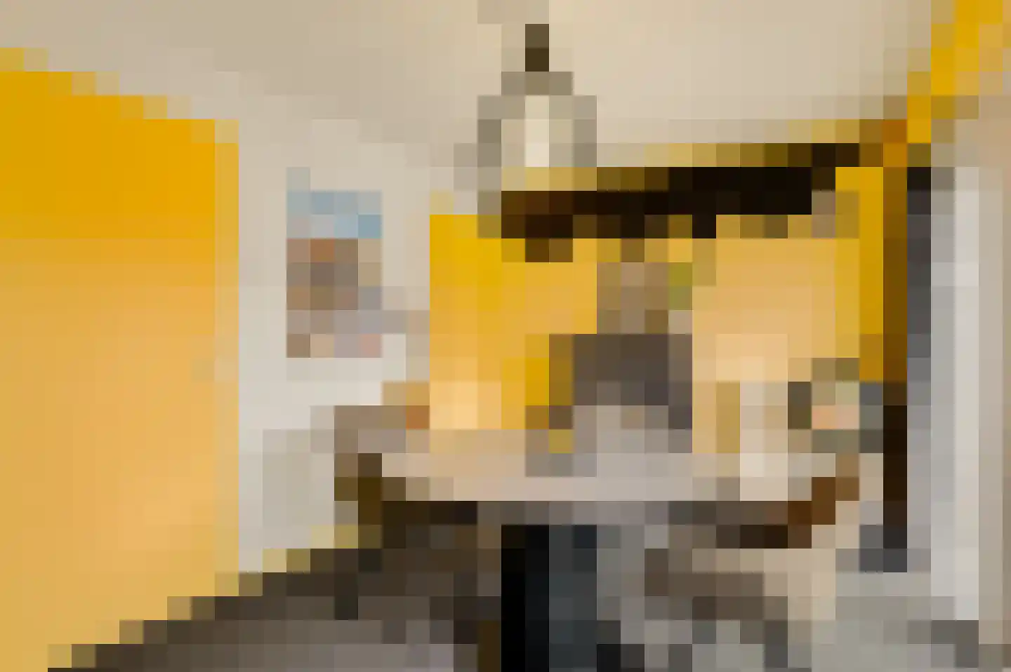 Rubensplein 14 Horst thumbnail 21
