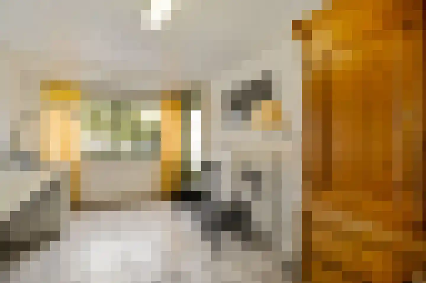Rubensplein 14 Horst thumbnail 23