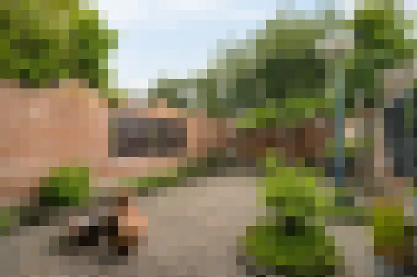 Rubensplein 14 Horst thumbnail 26