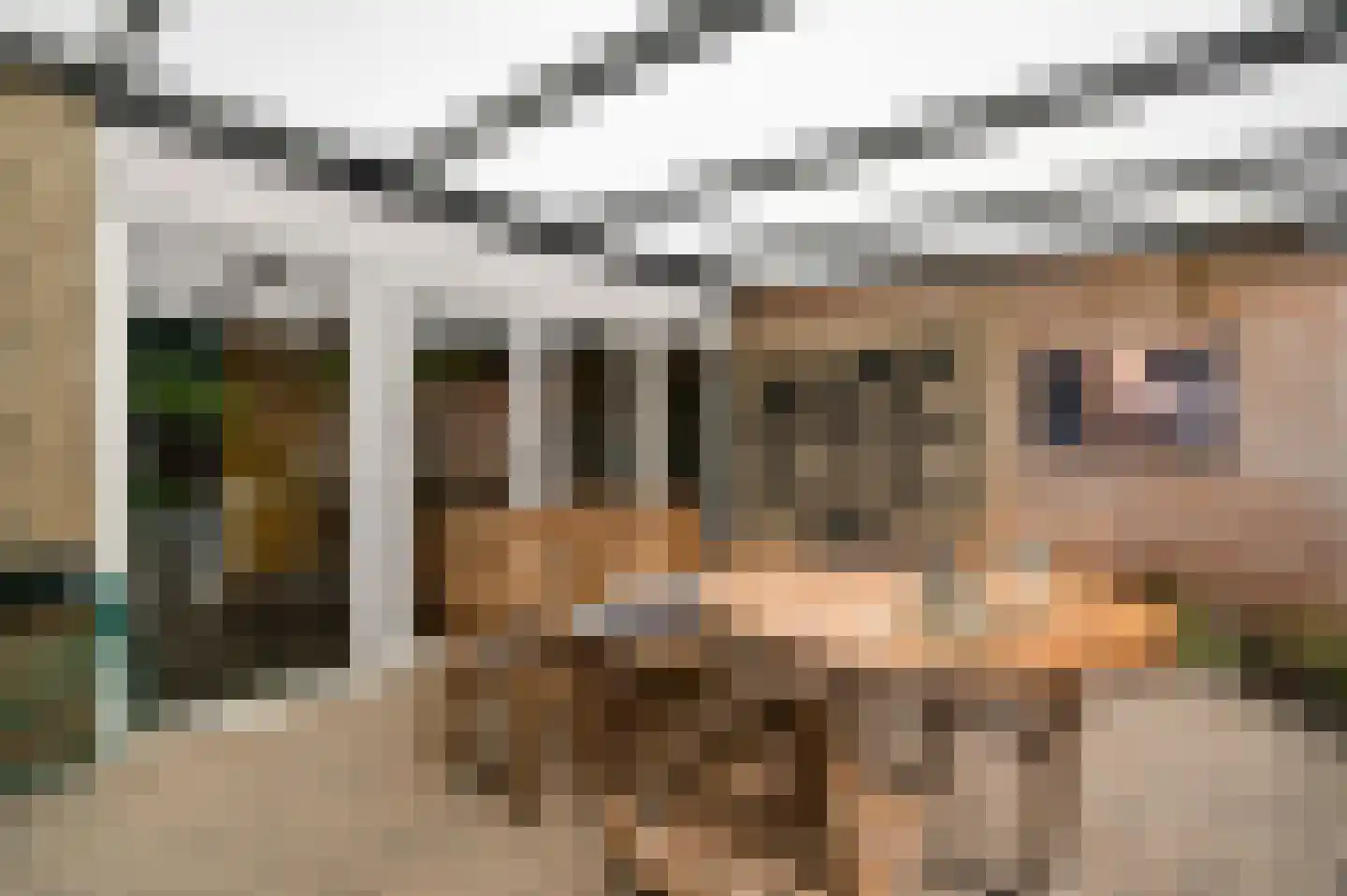 Rubensplein 14 Horst thumbnail 27