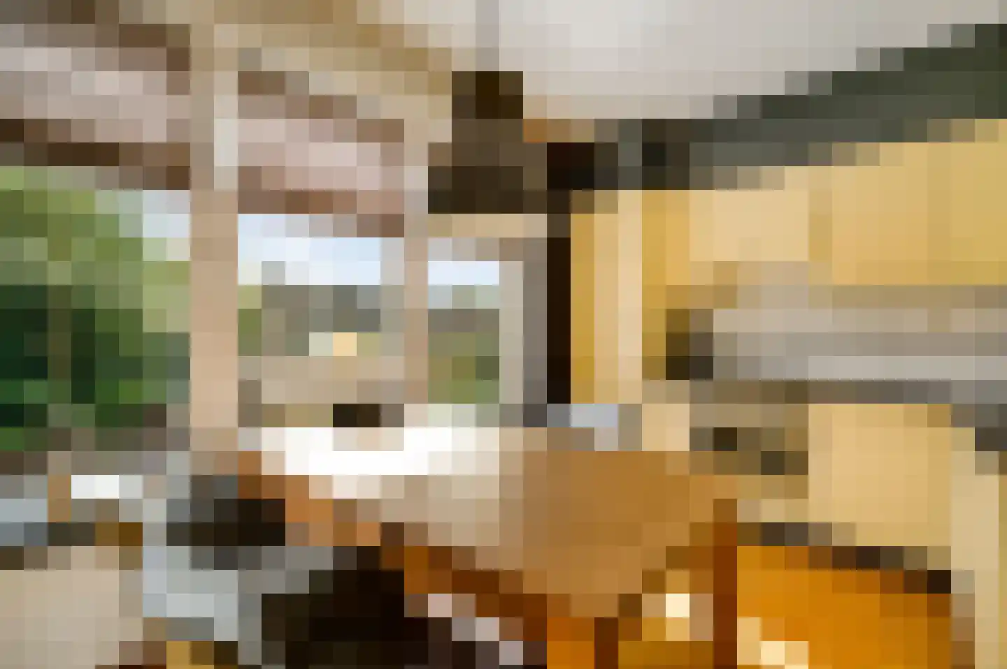 Rubensplein 14 Horst thumbnail 39