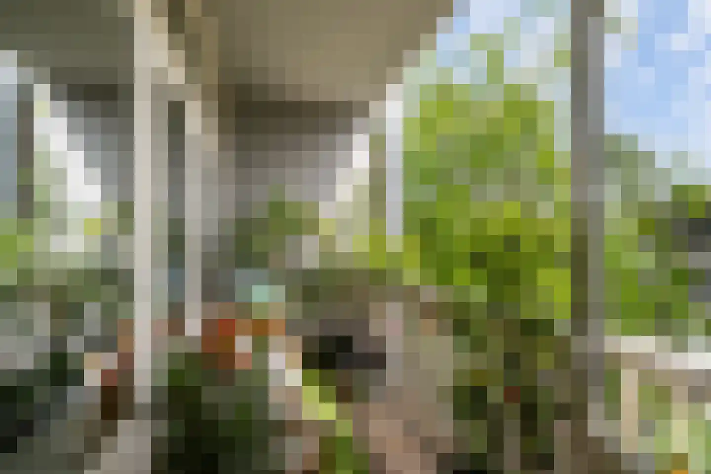 Rubensplein 24 B Schiedam thumbnail 13
