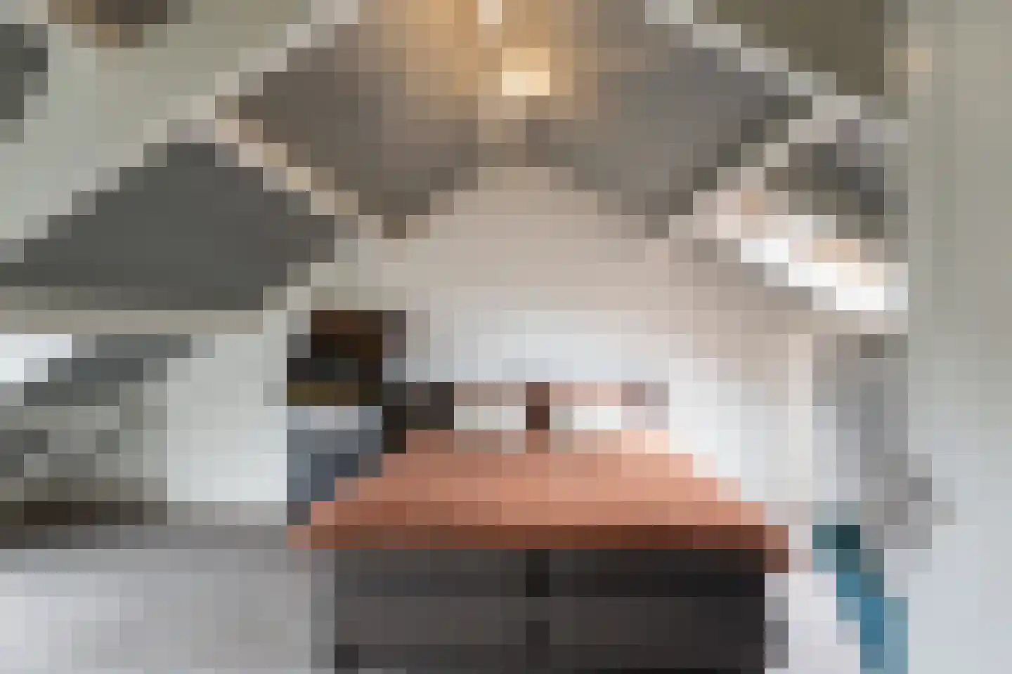 Rubensplein 24 B Schiedam thumbnail 38