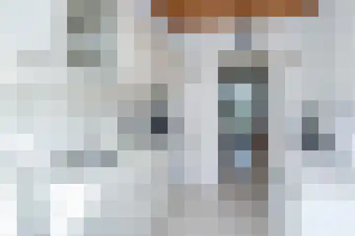 Rubensplein 3 Middelharnis thumbnail 11