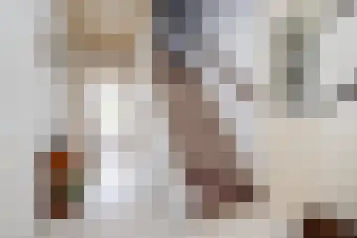 Rubensplein 3 Middelharnis thumbnail 12