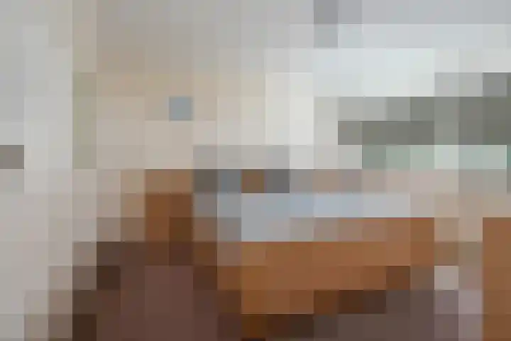 Rubensplein 3 Middelharnis thumbnail 14