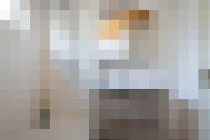 Rubensplein 3 Middelharnis thumbnail 17