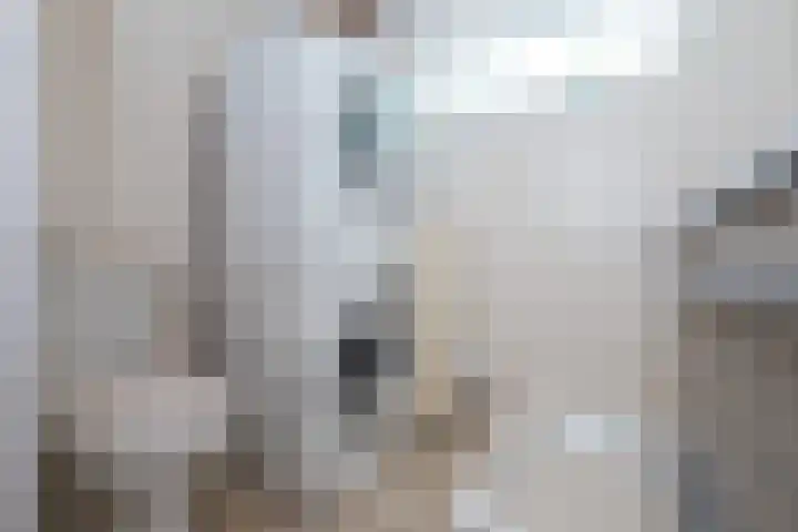 Rubensplein 3 Middelharnis thumbnail 18