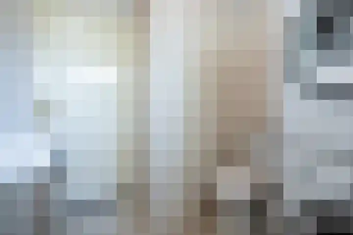 Rubensplein 3 Middelharnis thumbnail 19
