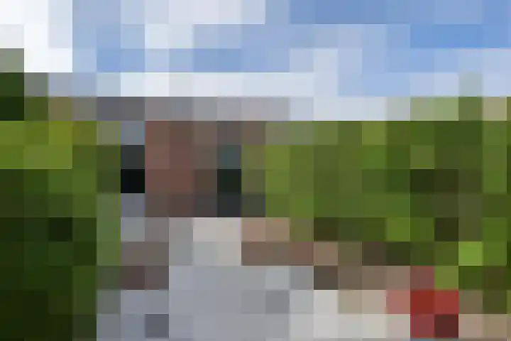 Rubensplein 3 Middelharnis thumbnail 20
