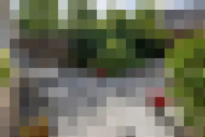 Rubensplein 3 Middelharnis thumbnail 21