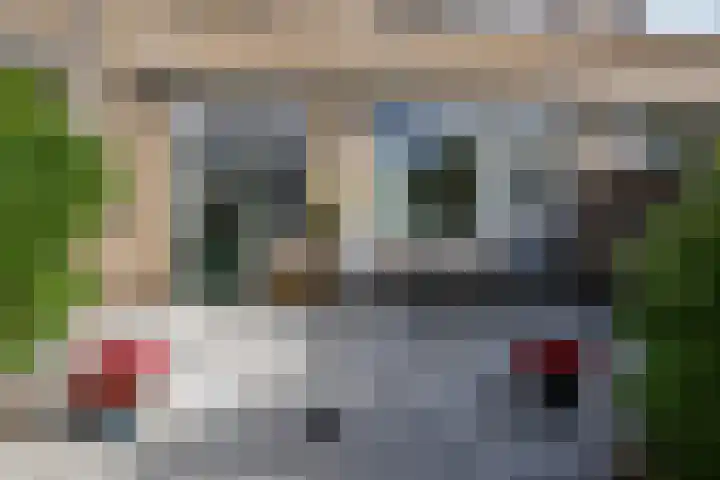 Rubensplein 3 Middelharnis thumbnail 23