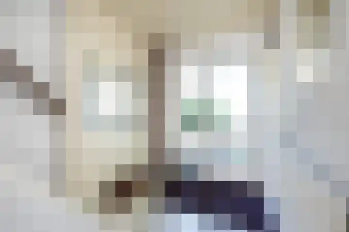 Rubensplein 3 Middelharnis thumbnail 4