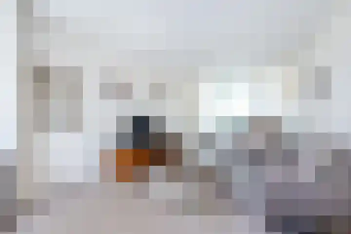 Rubensplein 3 Middelharnis thumbnail 6