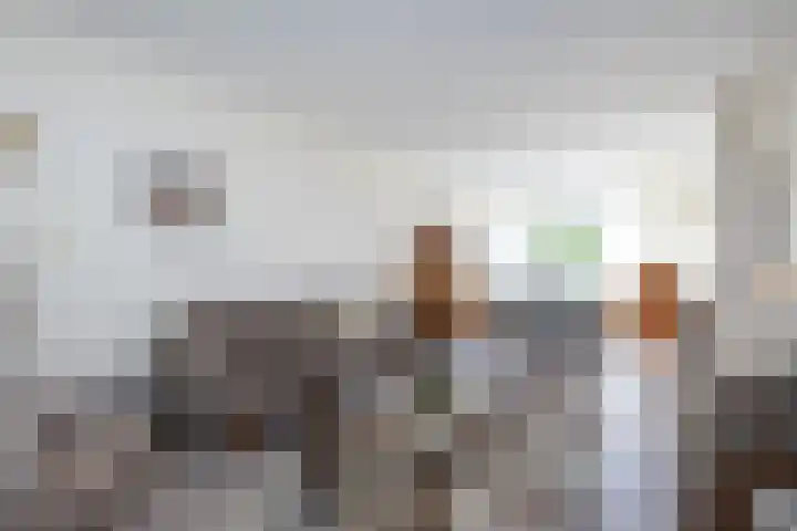 Rubensplein 3 Middelharnis thumbnail 7